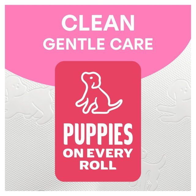 Andrex Family Soft Perfect Pull Toilet Tissue 6 per pack - McGrocer