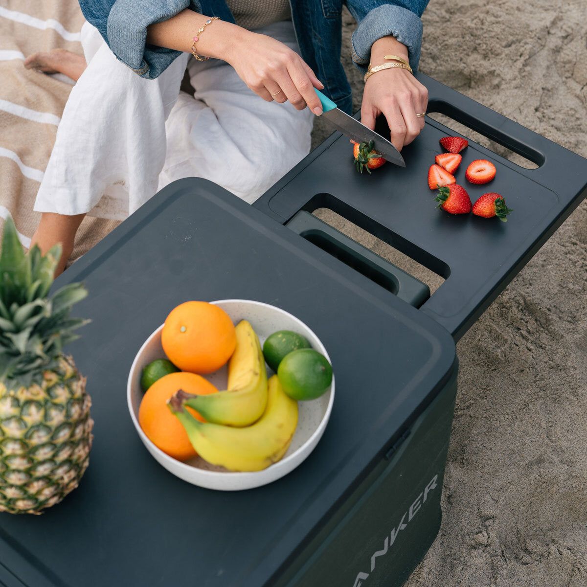 Anker EverFrost 30L Electric Powered Cooler - McGrocer