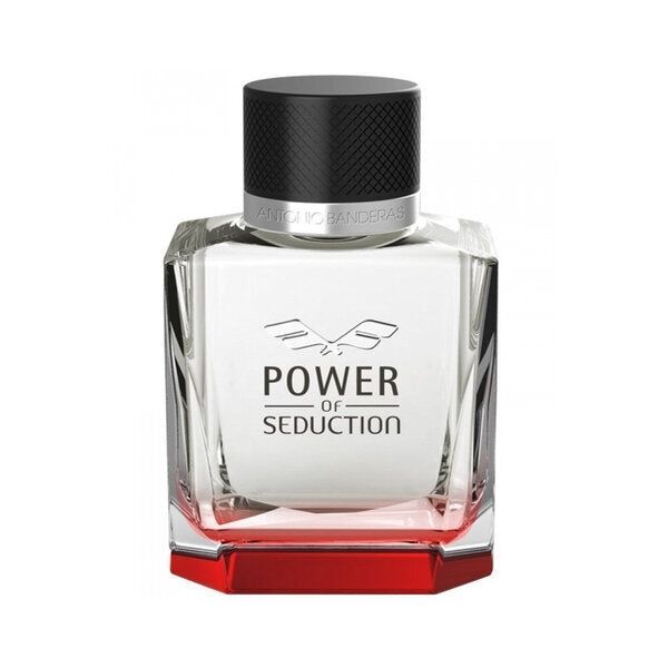 Antonio Banderas - Power of Seduction Eau de Toilette 100ml - McGrocer