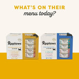 Applaws Cat Dry Adult Chicken with Salmon 2kg - McGrocer