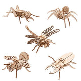 Apples To Pears Gift In A Tin Bug Adventure - McGrocer