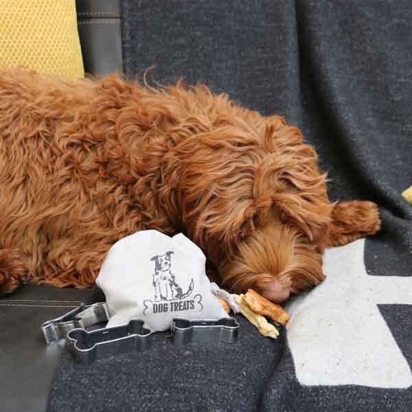 Apples To Pears Gift In A Tin Wolf 'Em Down Dog Treat - McGrocer