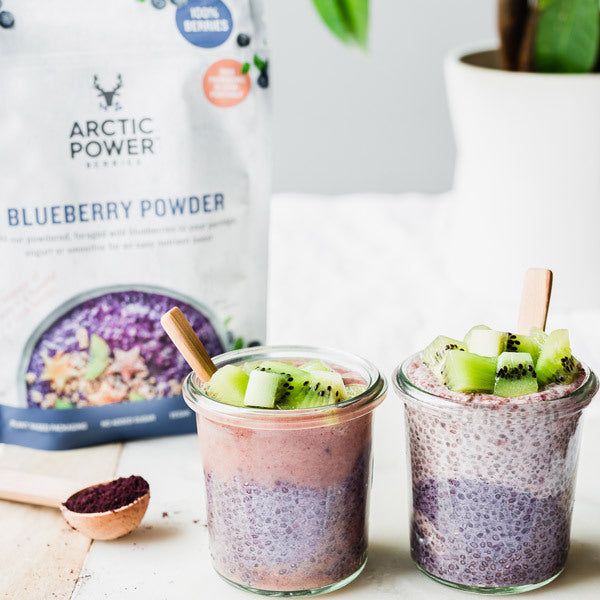 Arctic Power Berries 4 x Blueberry 70g Bundle - McGrocer