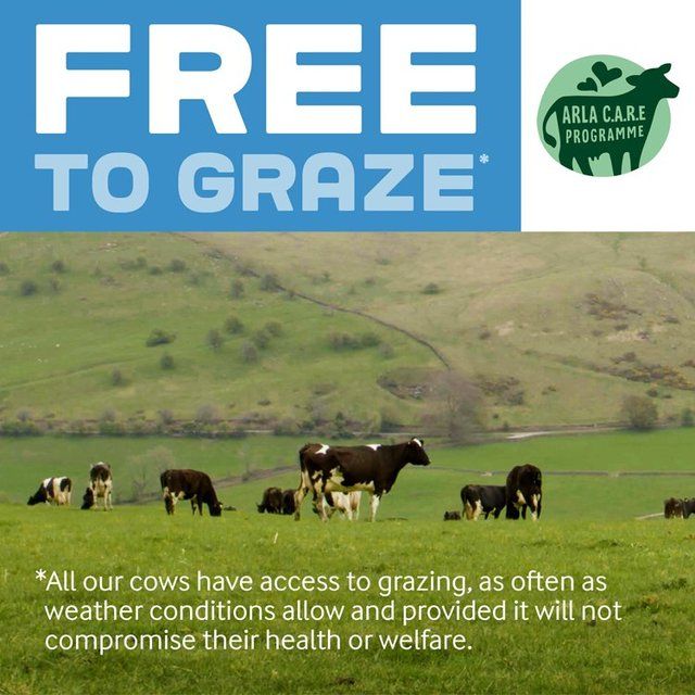 Arla Big Milk Fresh Whole Milk Vitamin Enriched for kids 1+ 2L - McGrocer