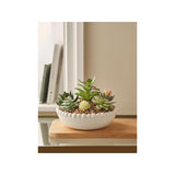 At Home with Stacey Solomon White Beaded Succulent Bowl - McGrocer