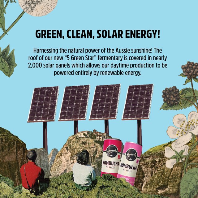 Remedy Kombucha Wild Berry Multipack 4 x 330ml - McGrocer