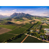 Babylonstoren Candide White Blend 75cl - McGrocer