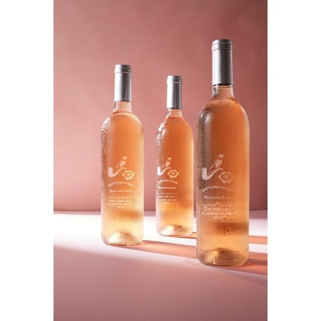 Babylonstoren Mourvedre South African Rose 75cl - McGrocer