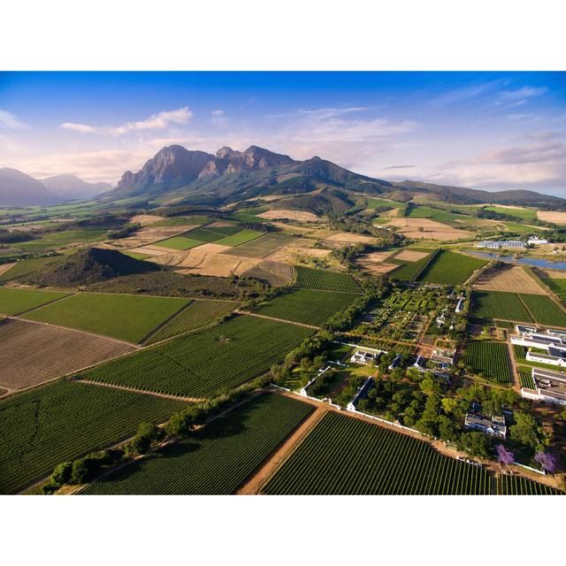 Babylonstoren Mourvedre South African Rose 75cl - McGrocer