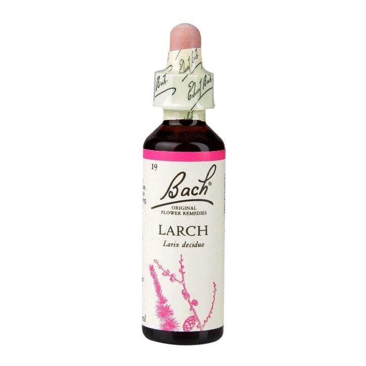 Bach Original Flower Remedies Larch 20ml - McGrocer