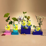 Bach RESCUE Peaceful Night 30 Capsules - McGrocer