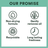 Batiste Blush 350Ml - McGrocer