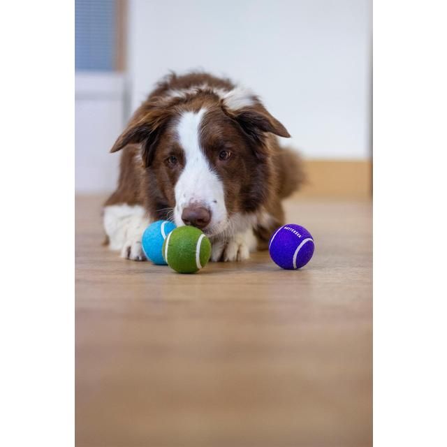 Battersea Tennis Balls - McGrocer