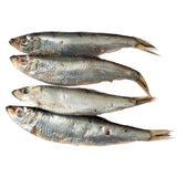 Wilsons Premium Baltic Sprats for Dogs, 1kg - McGrocer