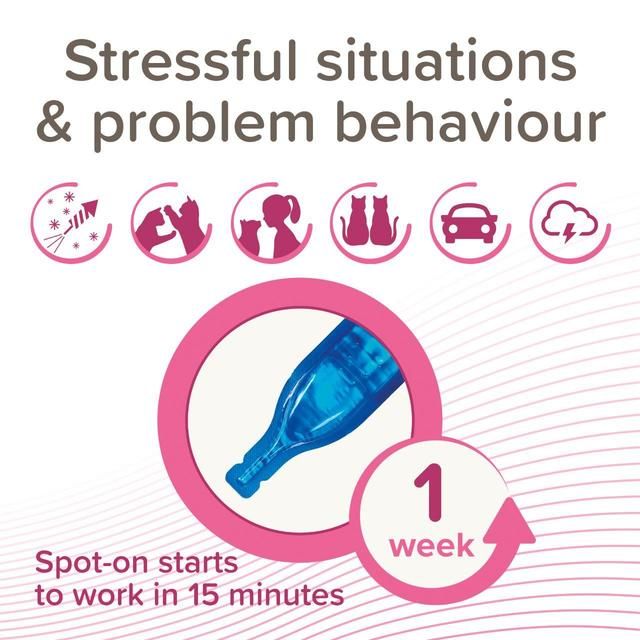 Beaphar CatComfort Calming Spot-On for Cats 3 per pack - McGrocer