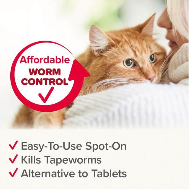 Beaphar WORMclear Worming Spot-On for Cats 6 per pack - McGrocer