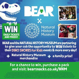 BEAR Fruit Yoyos Mango Multipack 5 x 20g - McGrocer