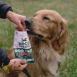 Beco Dog Treats Dog Choc with Carob Chamomile & Quinoa 70g - McGrocer