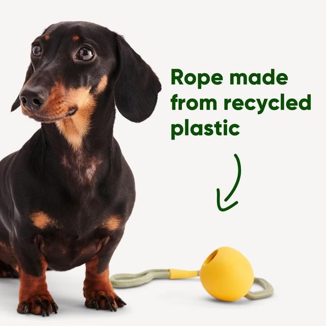 Beco Natural Rubber Slinger Ball - Yellow - McGrocer