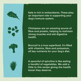 Beco Pets Eco Conscious MSC Cod & Haddock Dry Dog Food 2kg - McGrocer