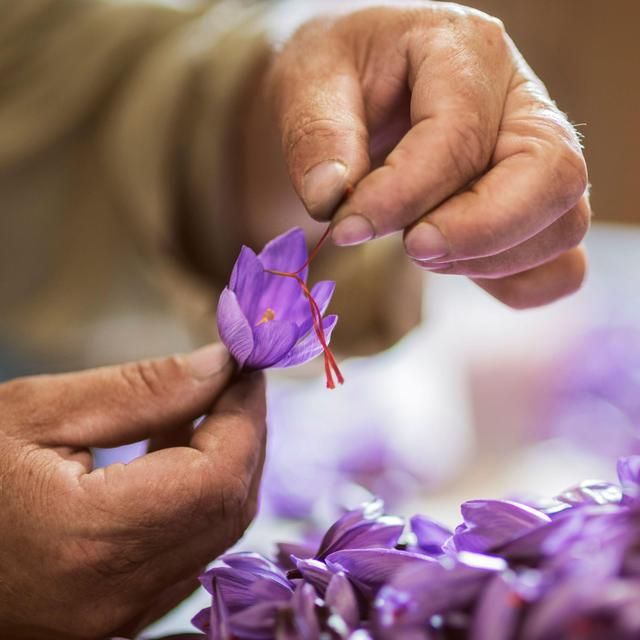 Belazu Category 1 Spanish Saffron 10g - McGrocer
