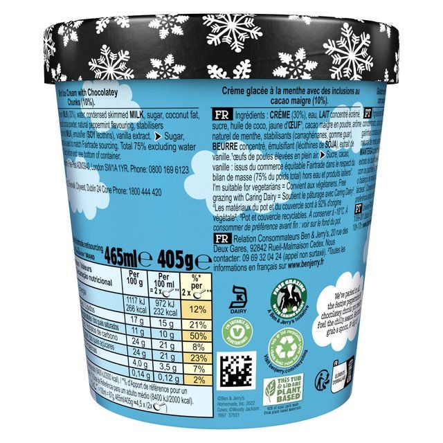 Ben & Jerry's Minter Wonderland Mint Ice Cream Tub 465ml - McGrocer