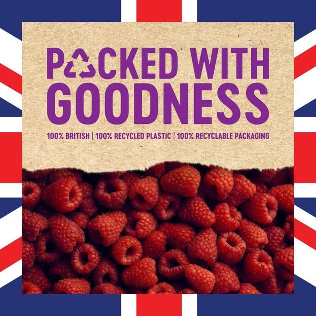 BerryWorld British Raspberries 150g - McGrocer