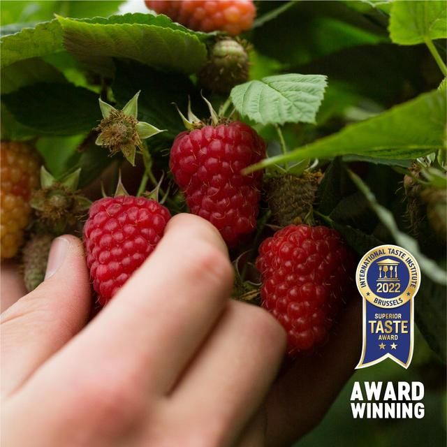 BerryWorld British Raspberries 150g - McGrocer