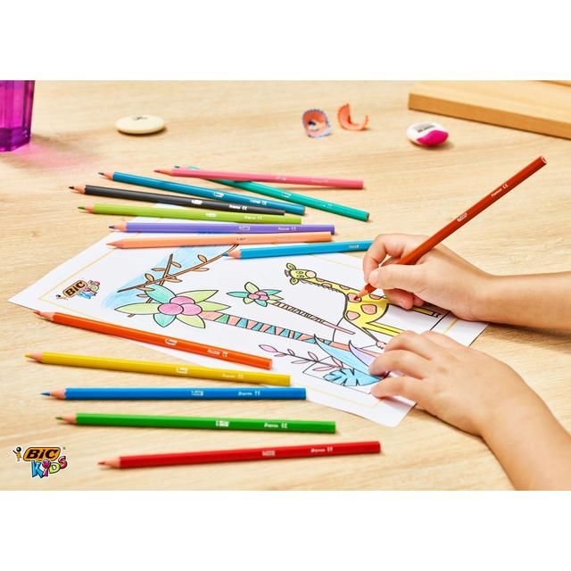BIC Kids Tropicolors Colouring Pencils Wallet of 24   24 per pack - McGrocer