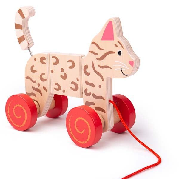 Bigjigs Toys Wooden Pull Along Cat Toy - McGrocer