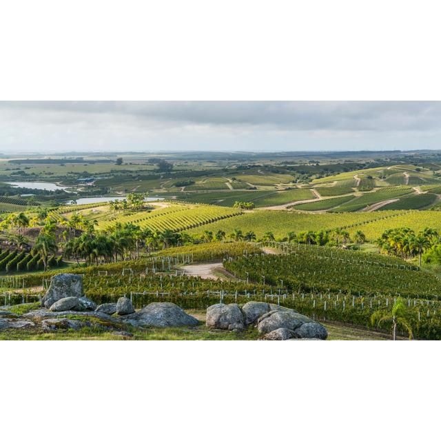 Bodega Garzon Reserve Tannat 75cl - McGrocer