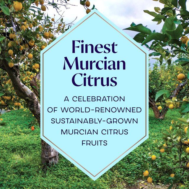 Bombay Sapphire Premier Cru Murcian Lemon Distilled London Dry Gin 70cl - McGrocer