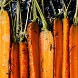 Borough Broth Co 100% Organic Pork Fat 250g - McGrocer