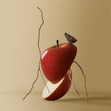 BOSS Bottled Eau de Parfum 50ml - McGrocer