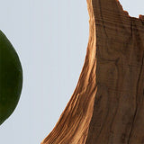 BOSS Bottled Eau de Toilette 200ml - McGrocer