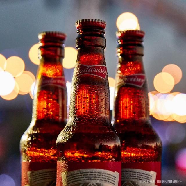 Budweiser Lager Beer Bottle 660ml