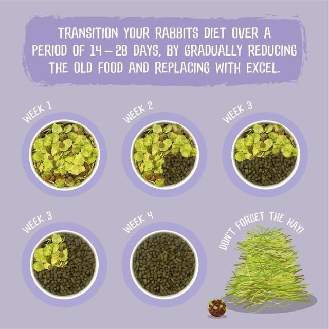 Burgess Excel Indoor Rabbit Nuggets 1.5kg