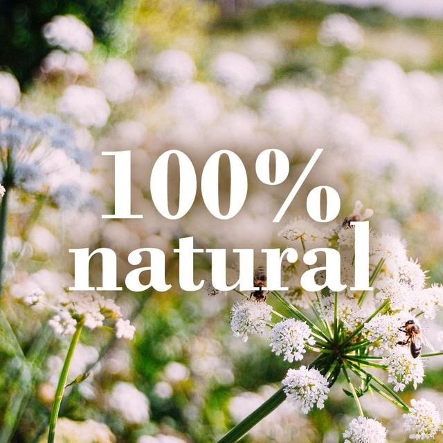 Burt's Bees Almond & Milk Hand Cream 57g