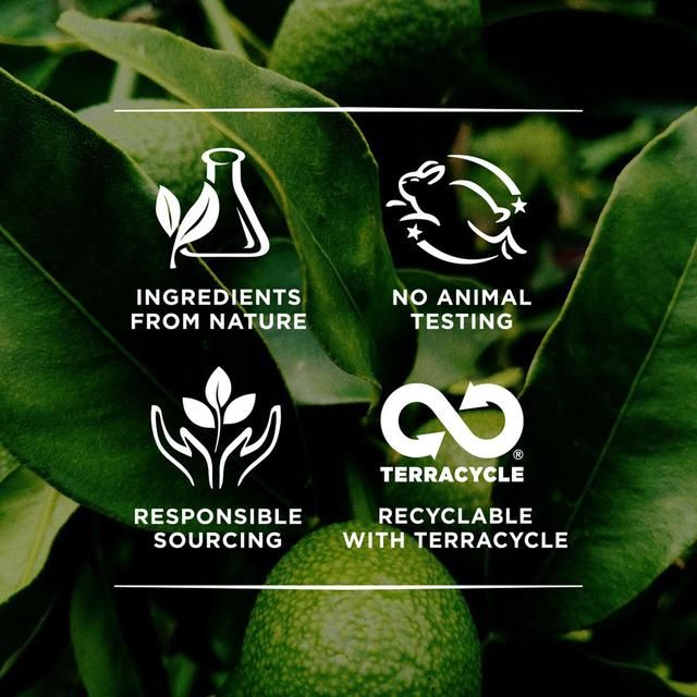 Burt's Bees Almond & Milk Hand Cream 57g