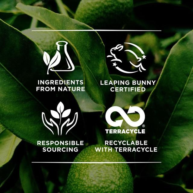 Burt's Bees Milk & Honey Body Lotion   170g