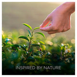 Airwick Botanica Reed Island Rose & African Geranium 80ml - McGrocer