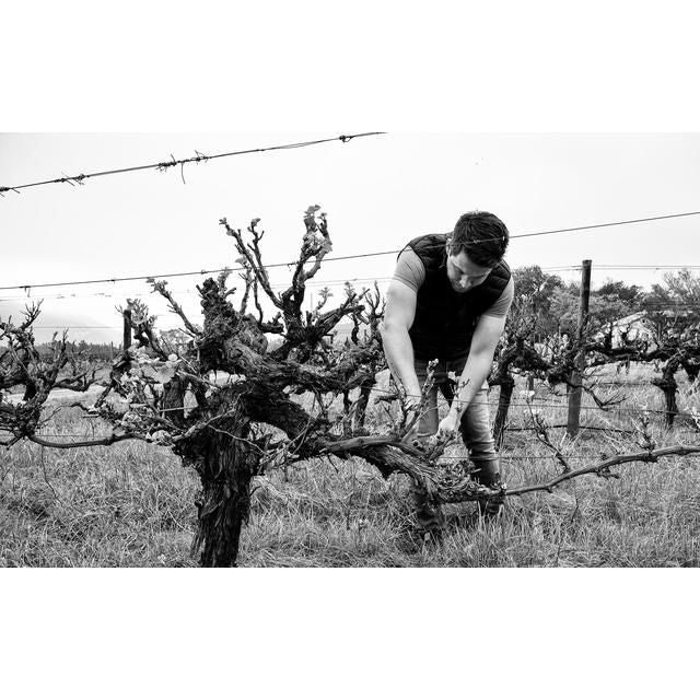 Capeography Cloudscape Elgin Sauvignon Blanc 75cl