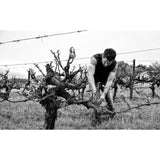 Capeography Cloudscape Elgin Sauvignon Blanc 75cl