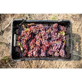 Capeography Landscape Swartland Grenache Blanc 75cl