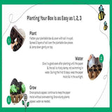 Caprea Dark Spot Serum with Ascorbyl Glucoside 1%