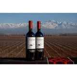 Catena Malbec 2019 75cl