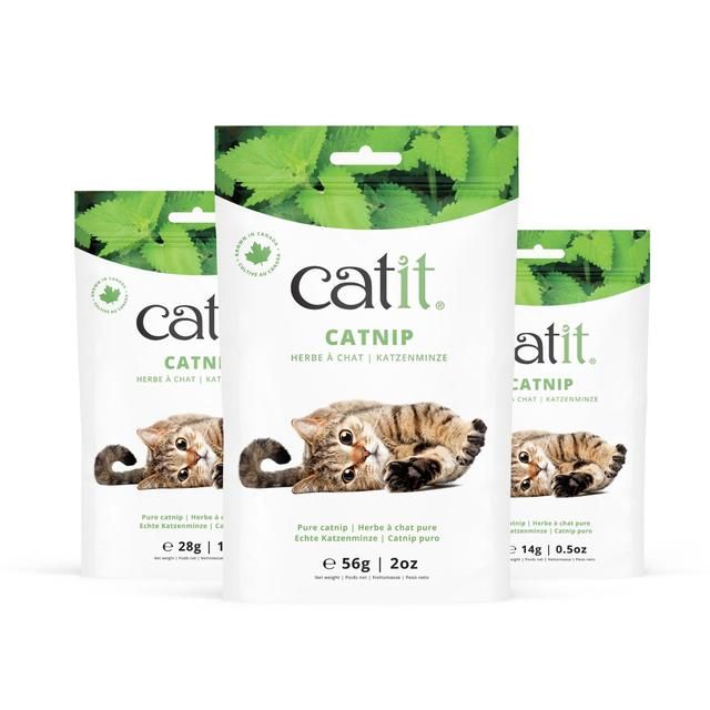 Catit Catnip 14g