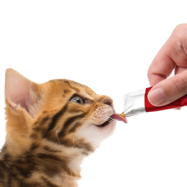 Catit Creamy Chicken & Lamb Cat Treats