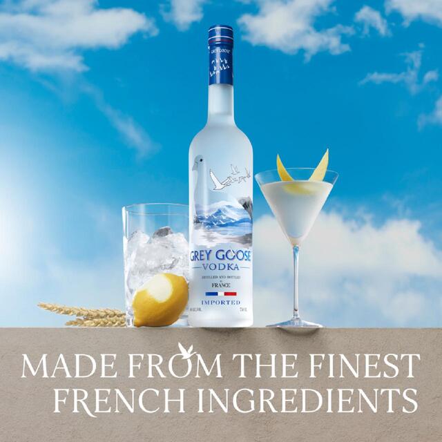 Grey Goose Premium French Vodka 70cl - McGrocer