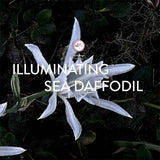 Cetaphil Brightness Refresh Toner Niacinamide 150Ml